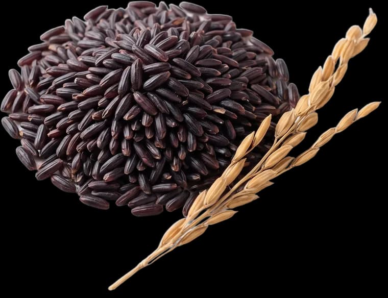 Black Rice from Manipur