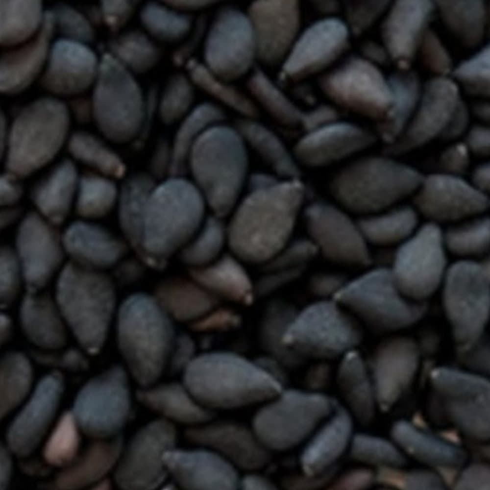 Whole black sesame seeds