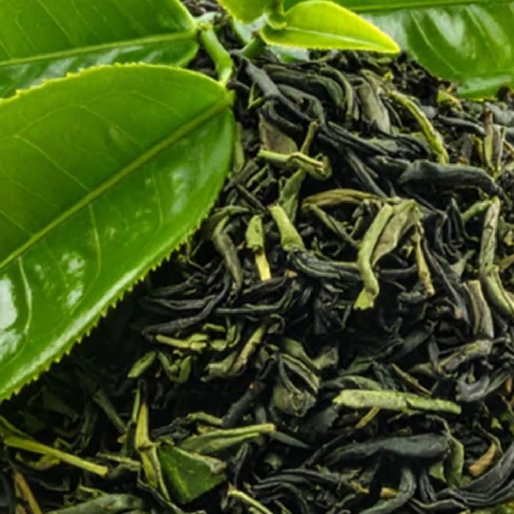 Fresh green tea leaves and processed leaf