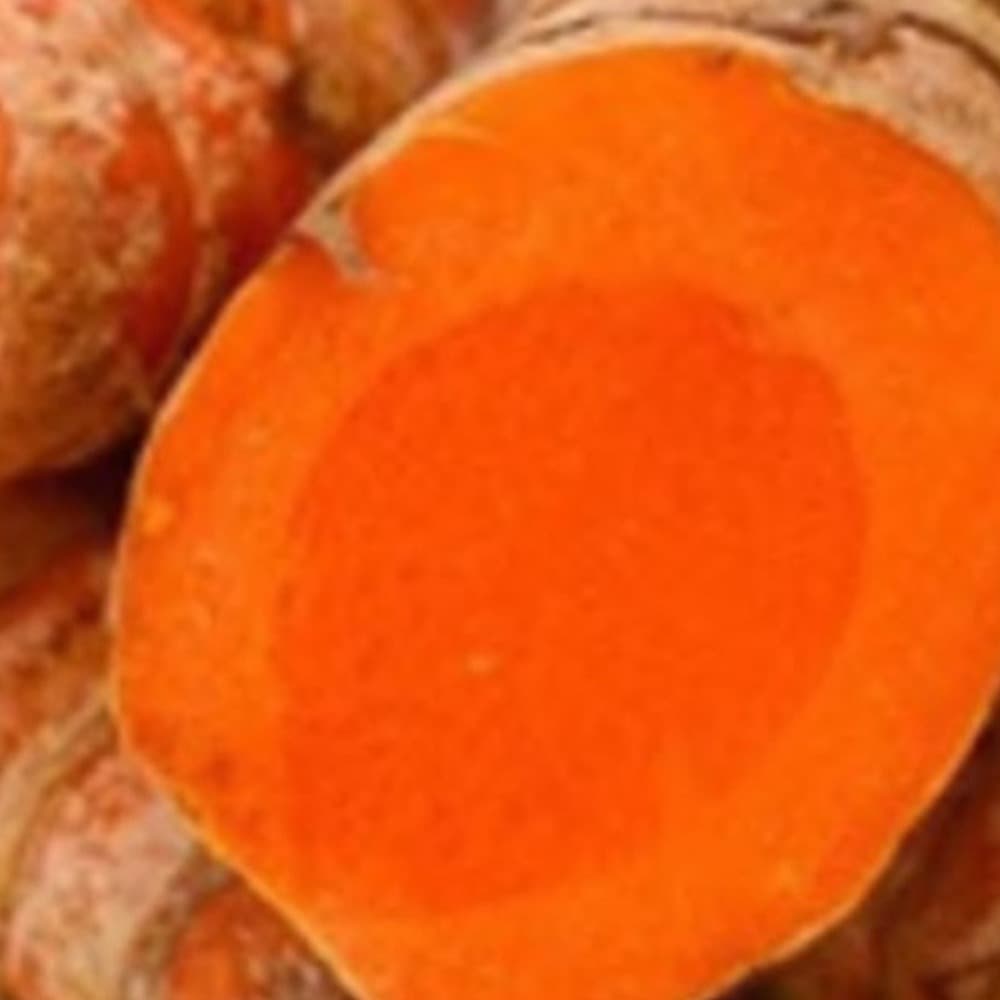 Whole and halved Lakadong turmeric fingers showing vibrant orange flesh